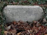 image of grave number 217646